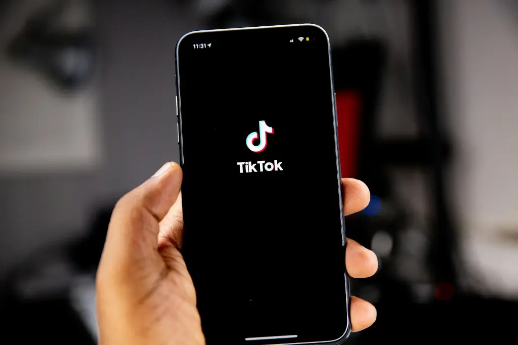 FORMATION : Définir une stratégie marketing avec TikTok